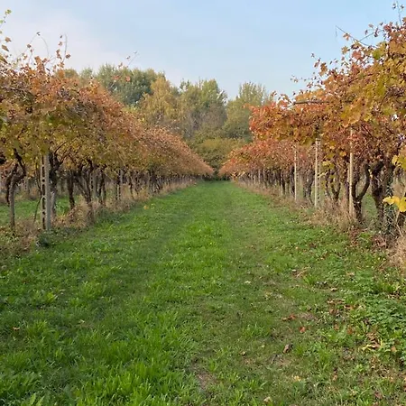 Atene Del Canavese Bed & Breakfast San Giorgio Canavese