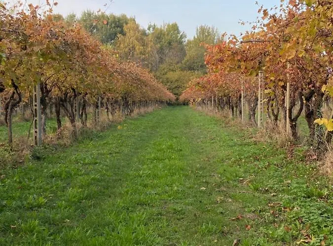 Atene Del Canavese Bed & Breakfast San Giorgio Canavese